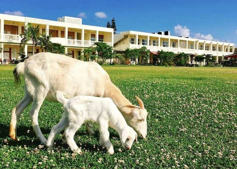 Hotel Aiai Farm