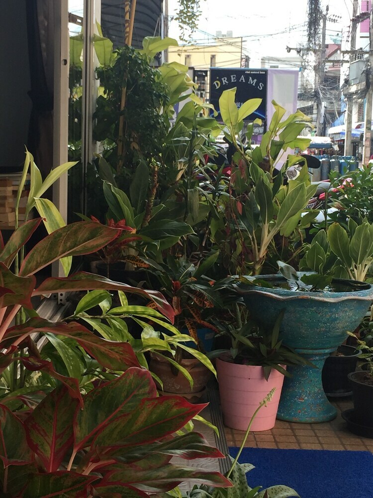 Hotel Dreams Guesthouse & Hostel Patong