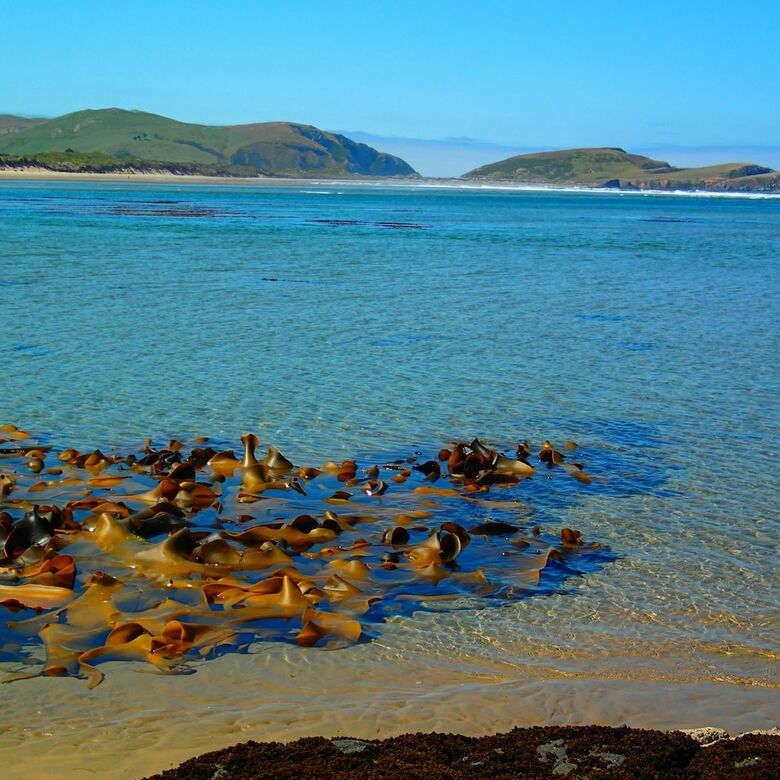 Catlins Newhaven Holiday Park