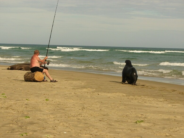 Catlins Newhaven Holiday Park