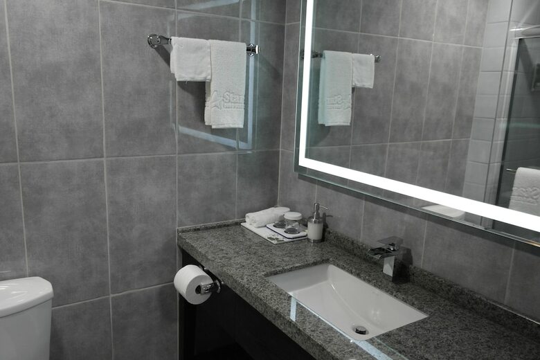 Hotel Stars Inn Edmonton Airport