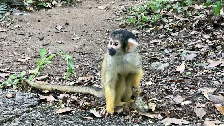 Hotel Aleyzd Bale Ishigaki