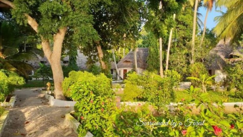 Posada Menai Bay Beach Bungalows