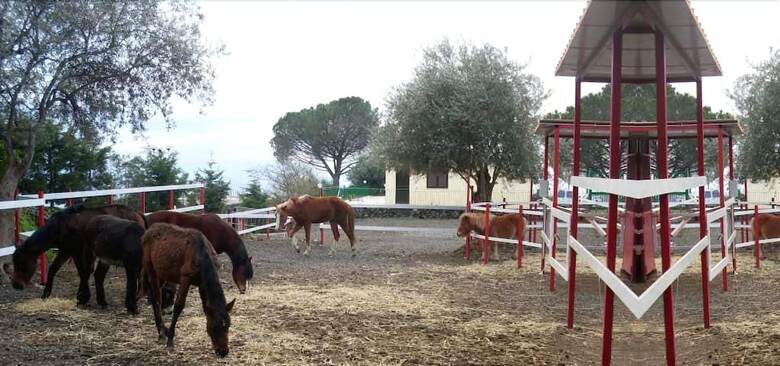 Agroturismo Ore Felici Park