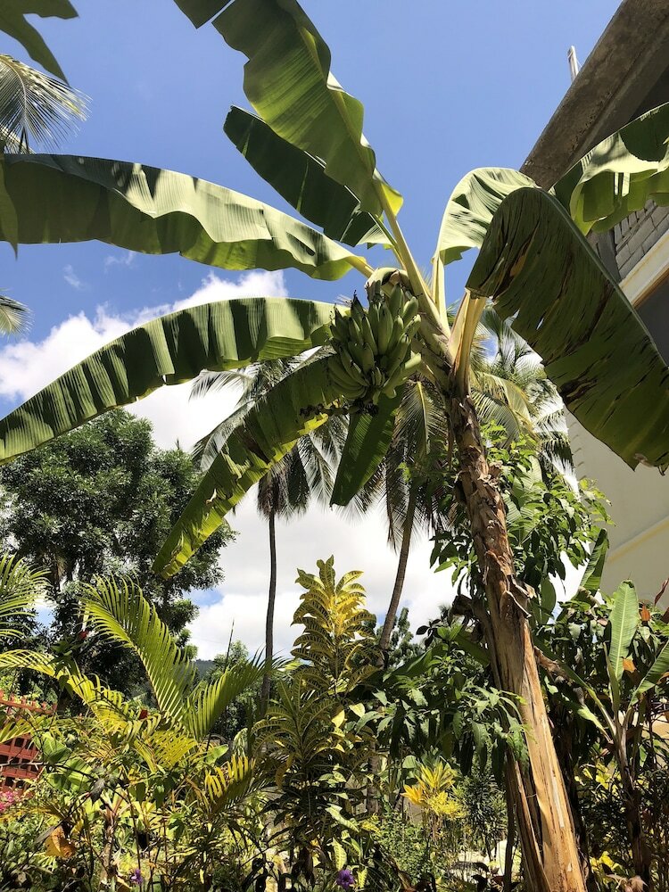 Hotel Inoubliable