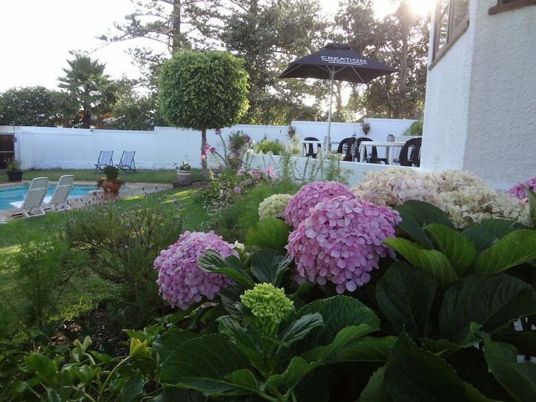 Hotel Walker Bay Manor