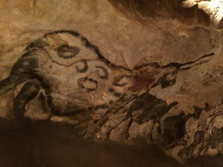 Bed & Breakfast Domaine De Lascaux - Chambres D'h�te