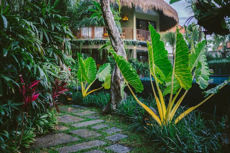 Apartamento Honai Resort