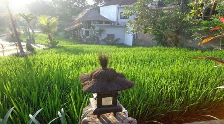 Hotel Kts Authentic Balinese Villas