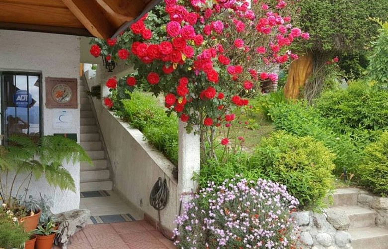 Lodge Los Arcos
