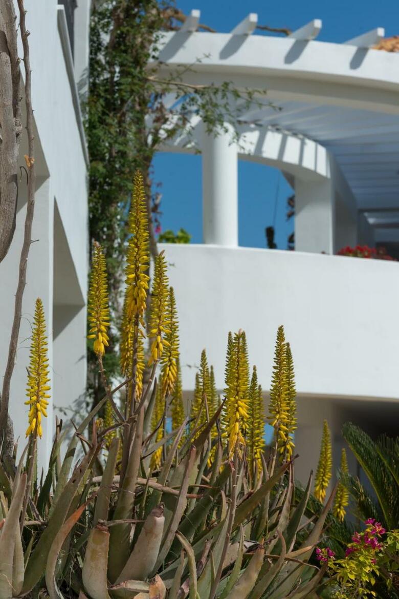 Bitzaro Grande Hotel - All Inclusive