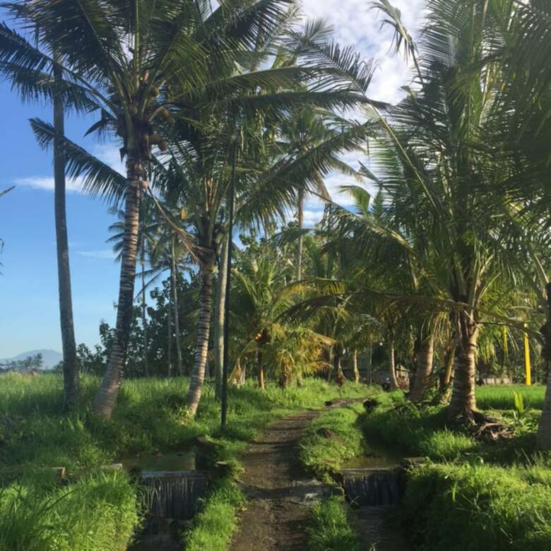 Hotel Bisma Cottages Ubud
