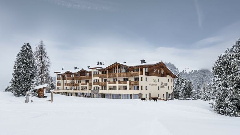 Hotel Steger-dellai