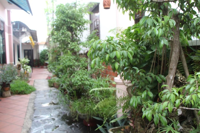 Bed & Breakfast Red Ceramics Homestay