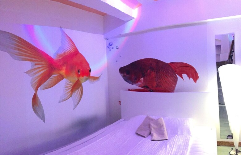 Hostal Citysurfer44