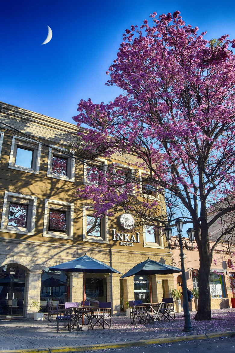 Hotel Inkai