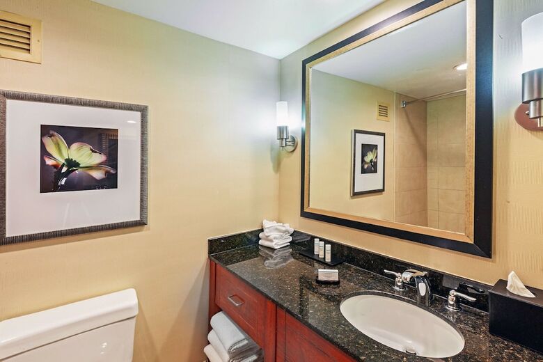 Hotel Embassy Suites Greensboro Airport