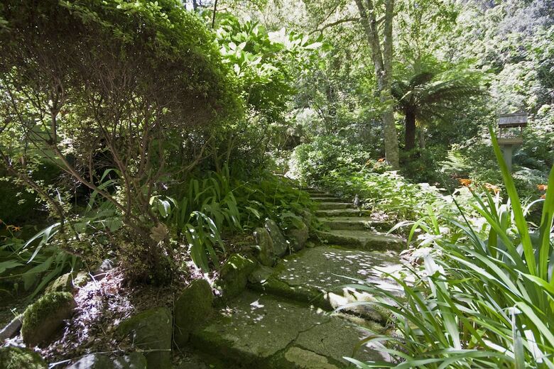 Cabana Lotus Lodges