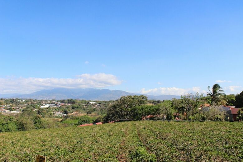 Bed & Breakfast Ruta Verde House