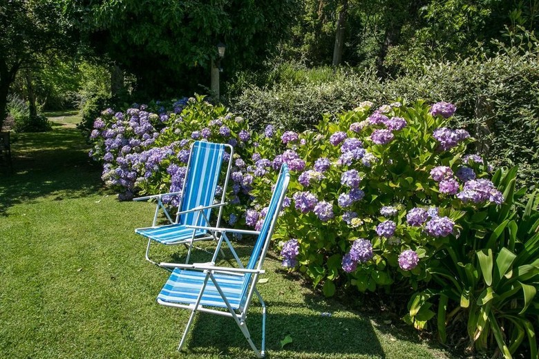 El Lugar De La Flor