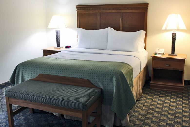 Hotel Holiday Inn Conference Center - Valdosta