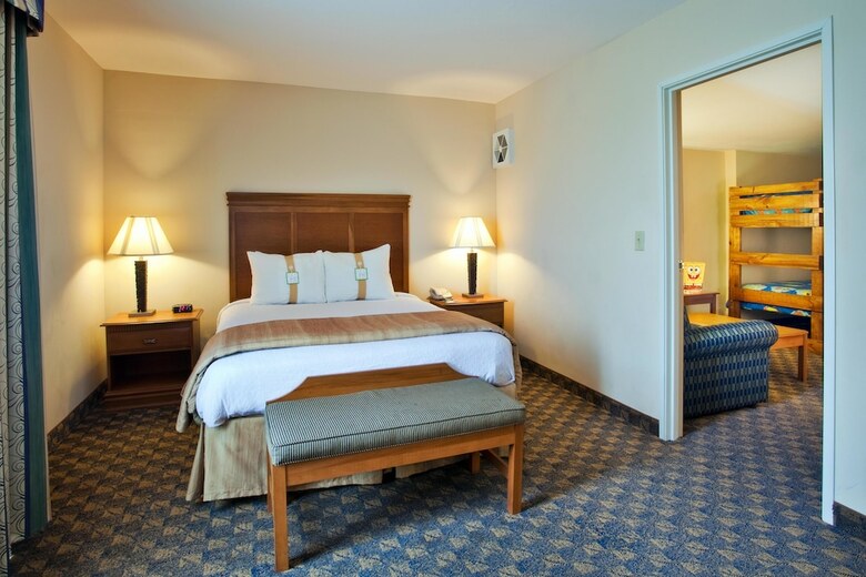 Hotel Holiday Inn Conference Center - Valdosta