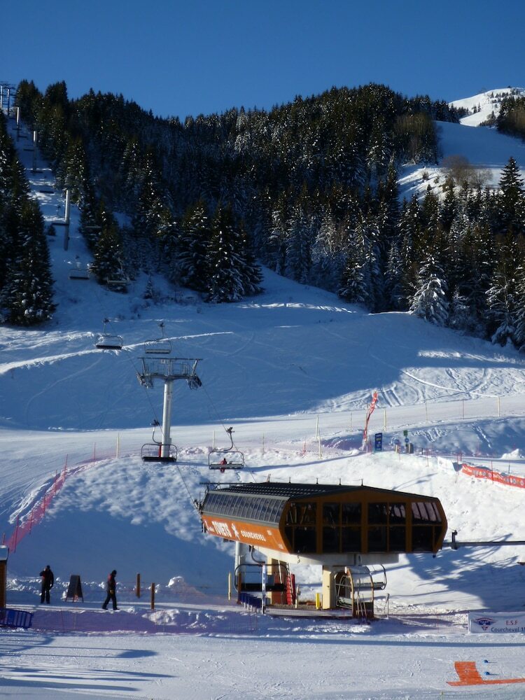 Hotel H�tel Les Flocons