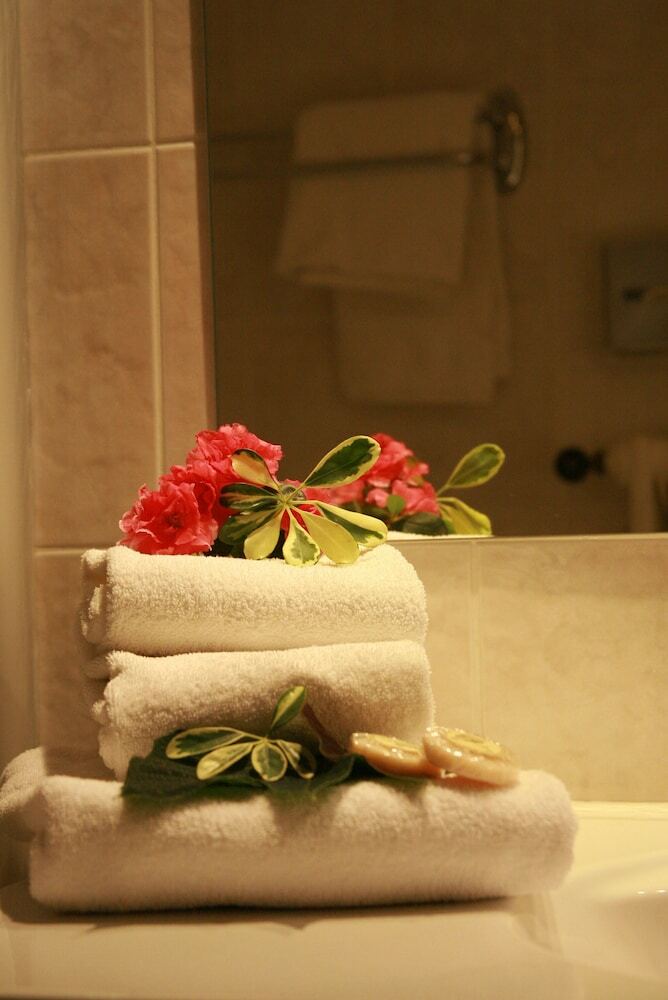 Hotel H�tel Les Flocons
