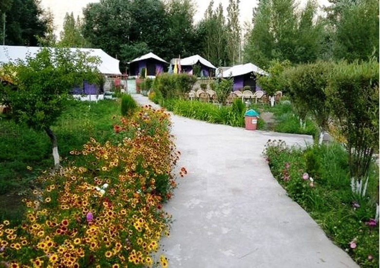 Valley Flower Camp Nubra