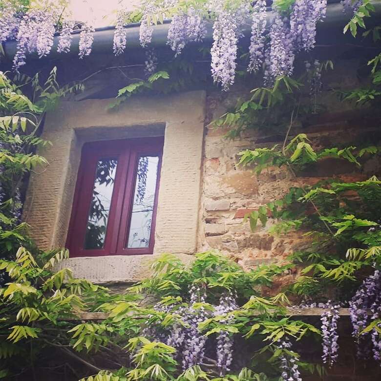 Apartamento Podere Casina Rossa