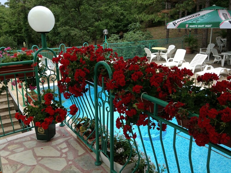Hotel Zora