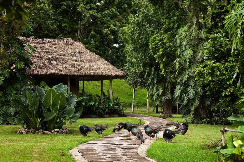 Posada Chan Chich Lodge