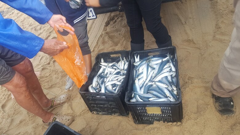 Bed & Breakfast Gee Wizz B And B