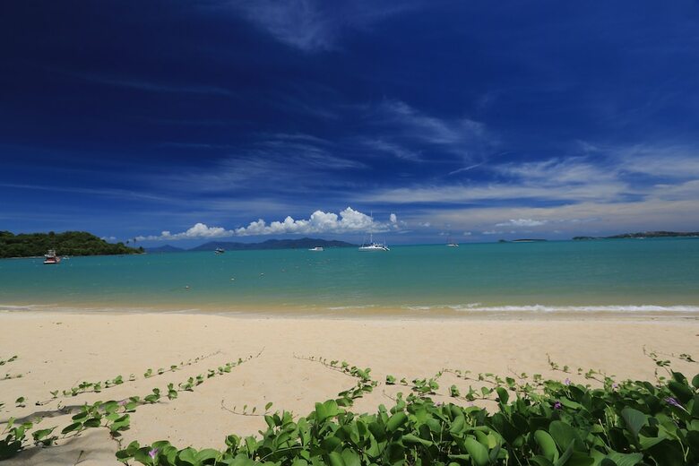 Apartamento Samui Palm Beach Resort