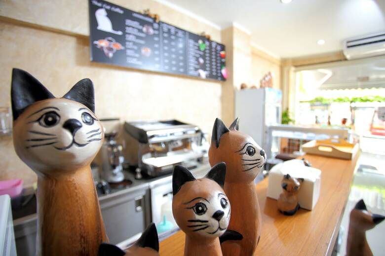 Hostal Thai Cat Hostel Bb Bangkok