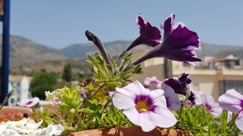 Hotel Posada Alpujarra Sol