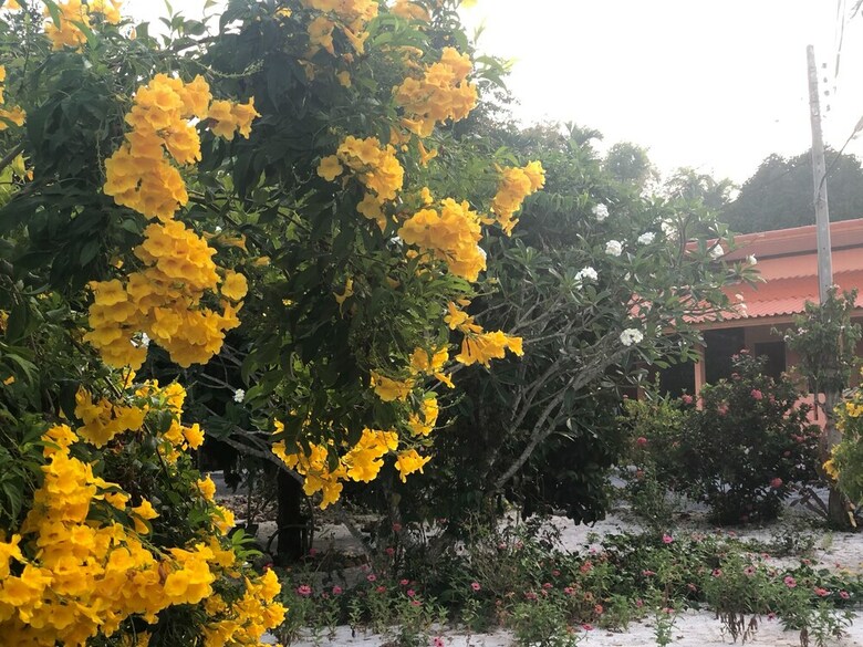 Hotel At Sichon Resort