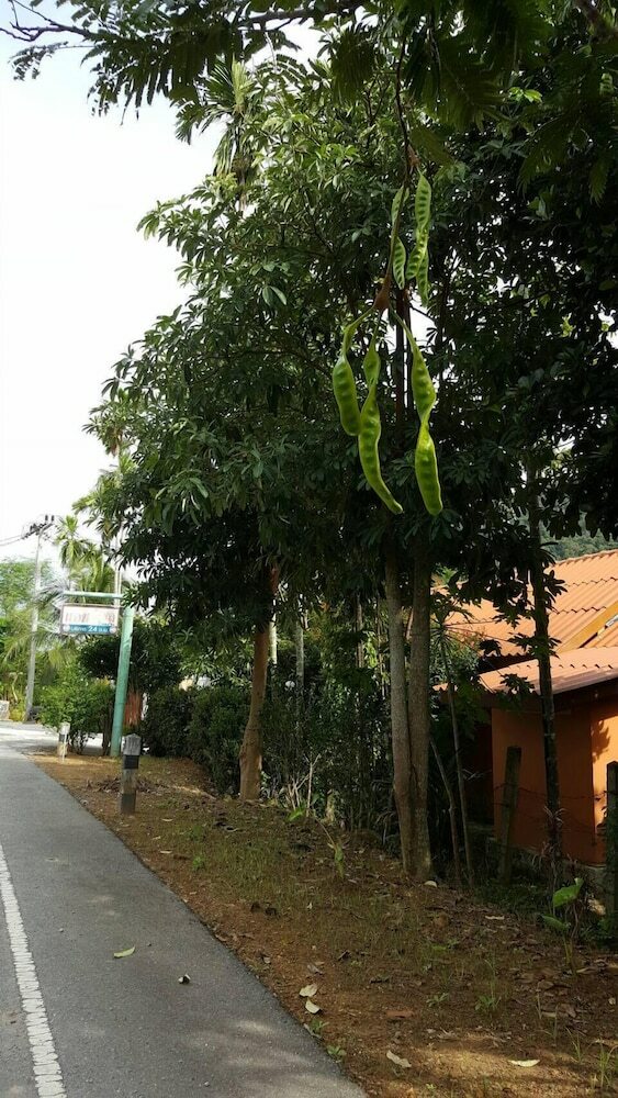 Hotel At Sichon Resort