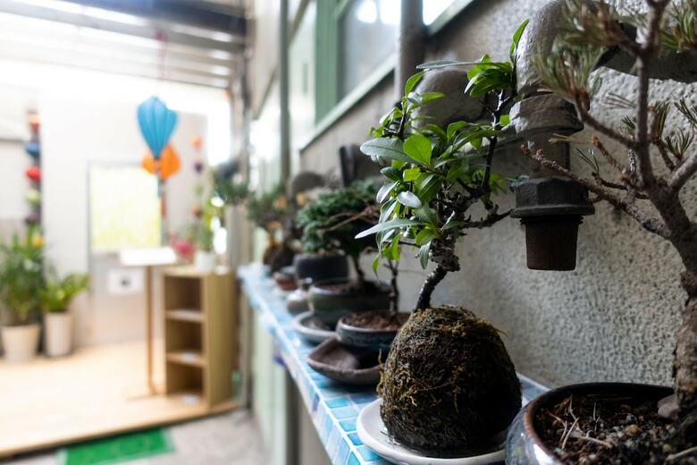 Hostal Traditional Apartment - Hostel