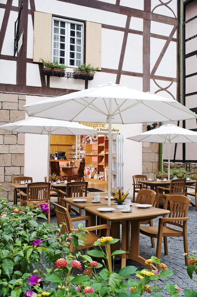 Hotel Colmar Tropicale