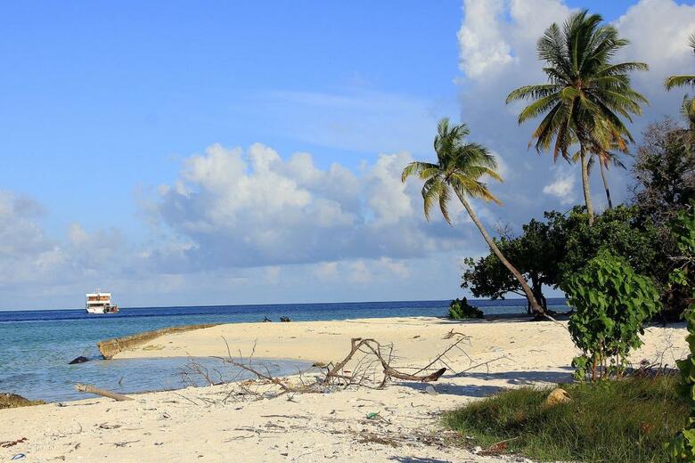 Tropic Tree Hotel Maldives