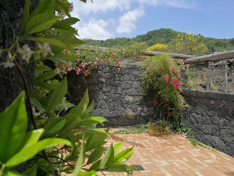 Agroturismo Viola Nel Parco