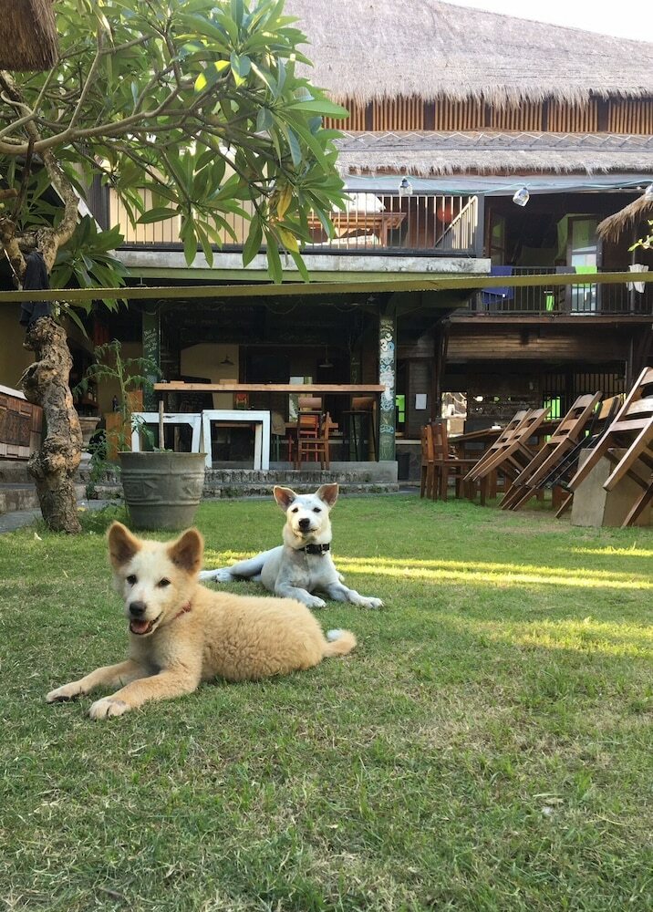Hostal Da Housetel