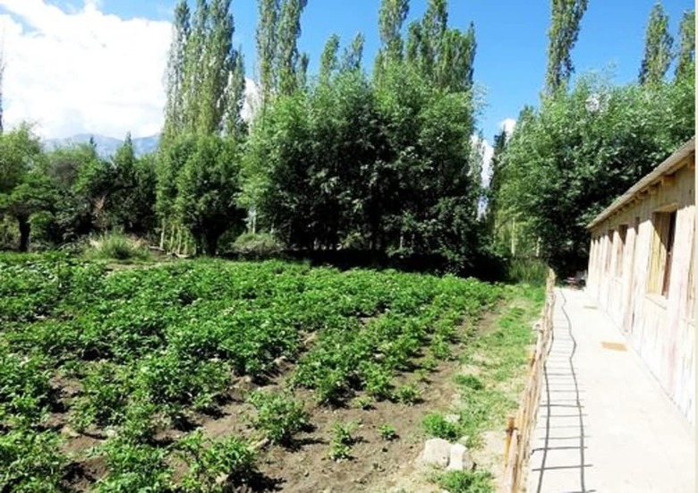 Silk Route Cottages