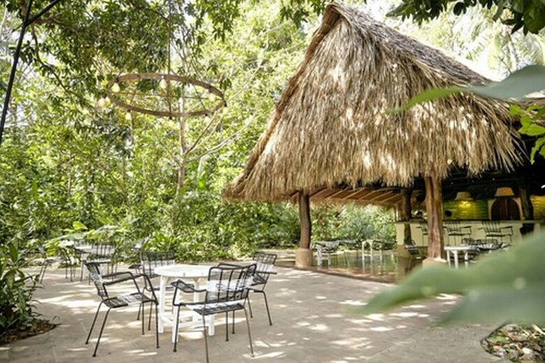 The Harmony Hotel