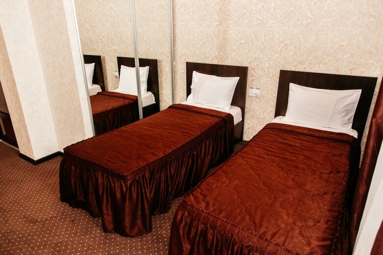 Hotel Altay