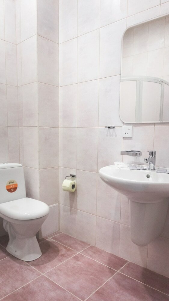 Hotel Altay