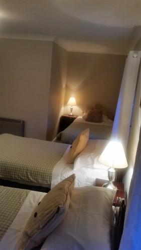 Hostal Glebe House