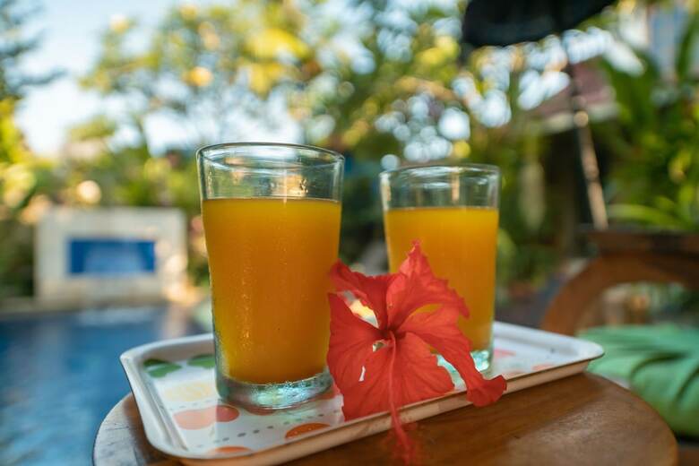 Hotel Angel House Ubud