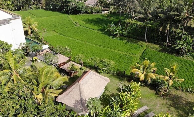 Hotel Byasa Ubud